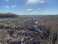 #5: View to the west from the confluence. 