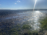 #9: A very wet muddy walk to, and from the point. 