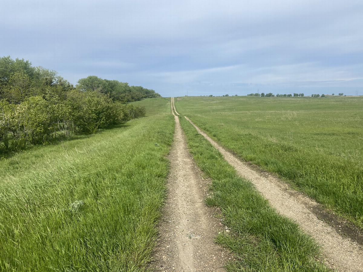 Pathway to the confluence point, from the nearest passable road, 2.2 miles east-northeast of the confluence point. 