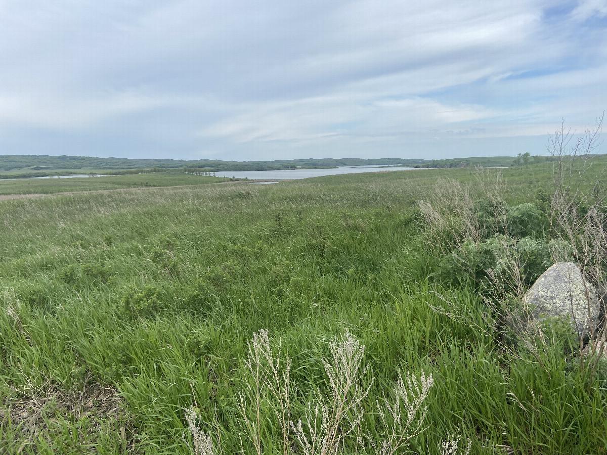 A better view to the west from the knoll to the west of the confluence point, looking west-northwest.