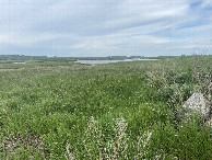 #9: A better view to the west from the knoll to the west of the confluence point, looking west-northwest.