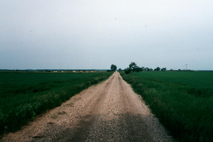 section line road leading north from ND23