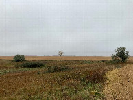 #2: Looking east along the field's north edge