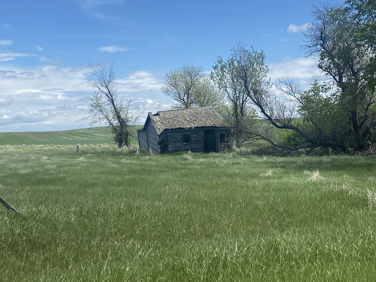 Abandoned buildings south of the confluence point 