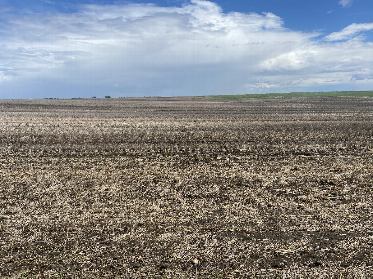 View to the east from the confluence point, showing the thunderstorm I had just recently passed through. 