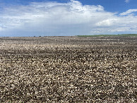 #3: View to the east from the confluence point, showing the thunderstorm I had just recently passed through. 