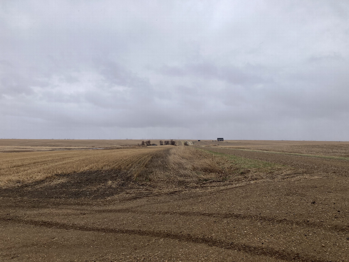 Looking south, towards a nearby home