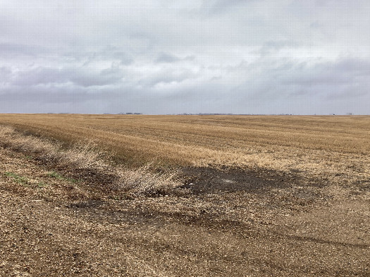 #1: Looking northeast at 48N 102W, located in the middle foreground beside the patch of bare dirt