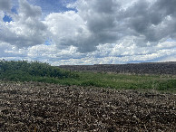 #5: A view to the west from the confluence point.