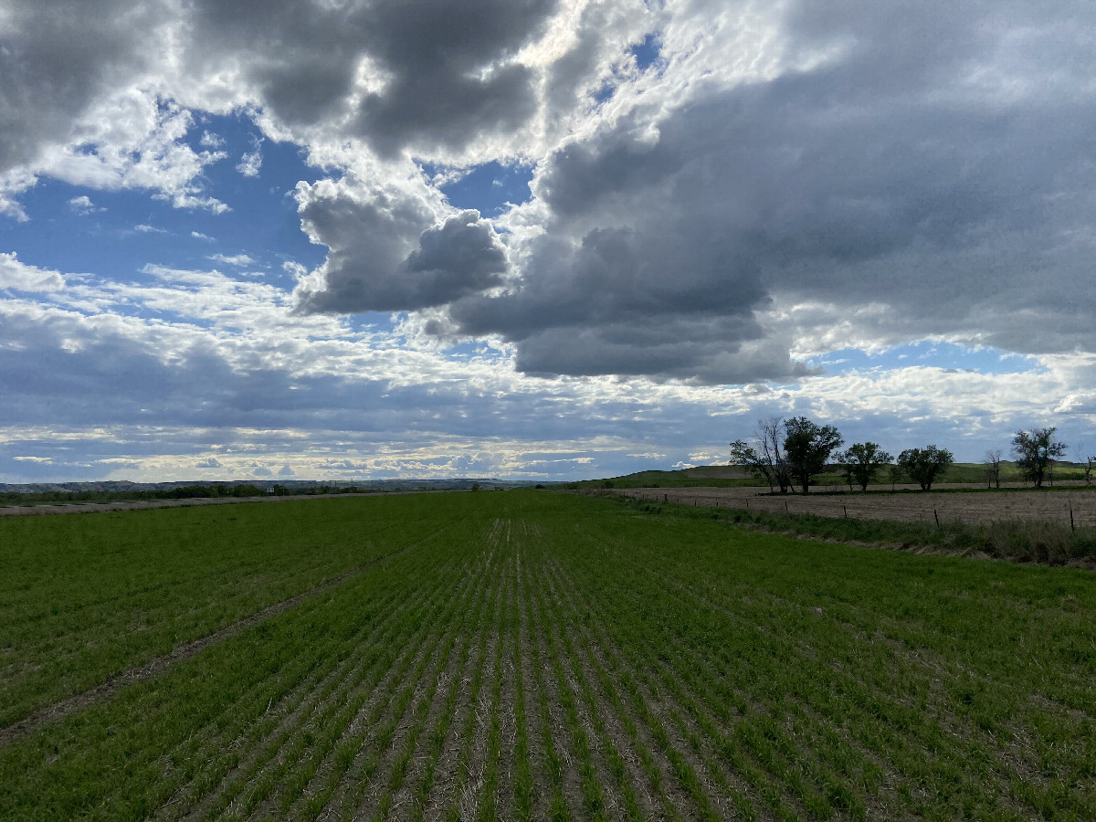 View to the west from the confluence point.