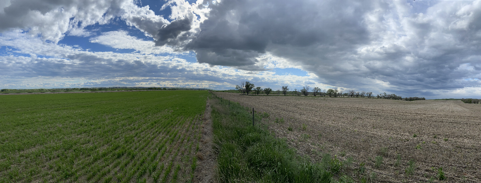 Panorama of the confluence, in mid-distance, looking west. 