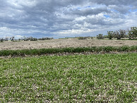 #2: View to the north from the confluence point.