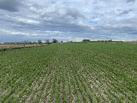 #3: View to the east from the confluence point.