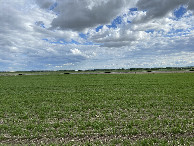 #4: View to the south from the confluence point.