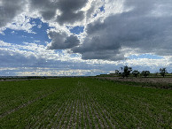 #5: View to the west from the confluence point.