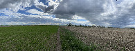 #9: Panorama of the confluence, in mid-distance, looking west. 