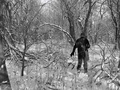 #9: Russ hiking through the woods