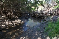 #7: The small creek that runs just to the West of the point