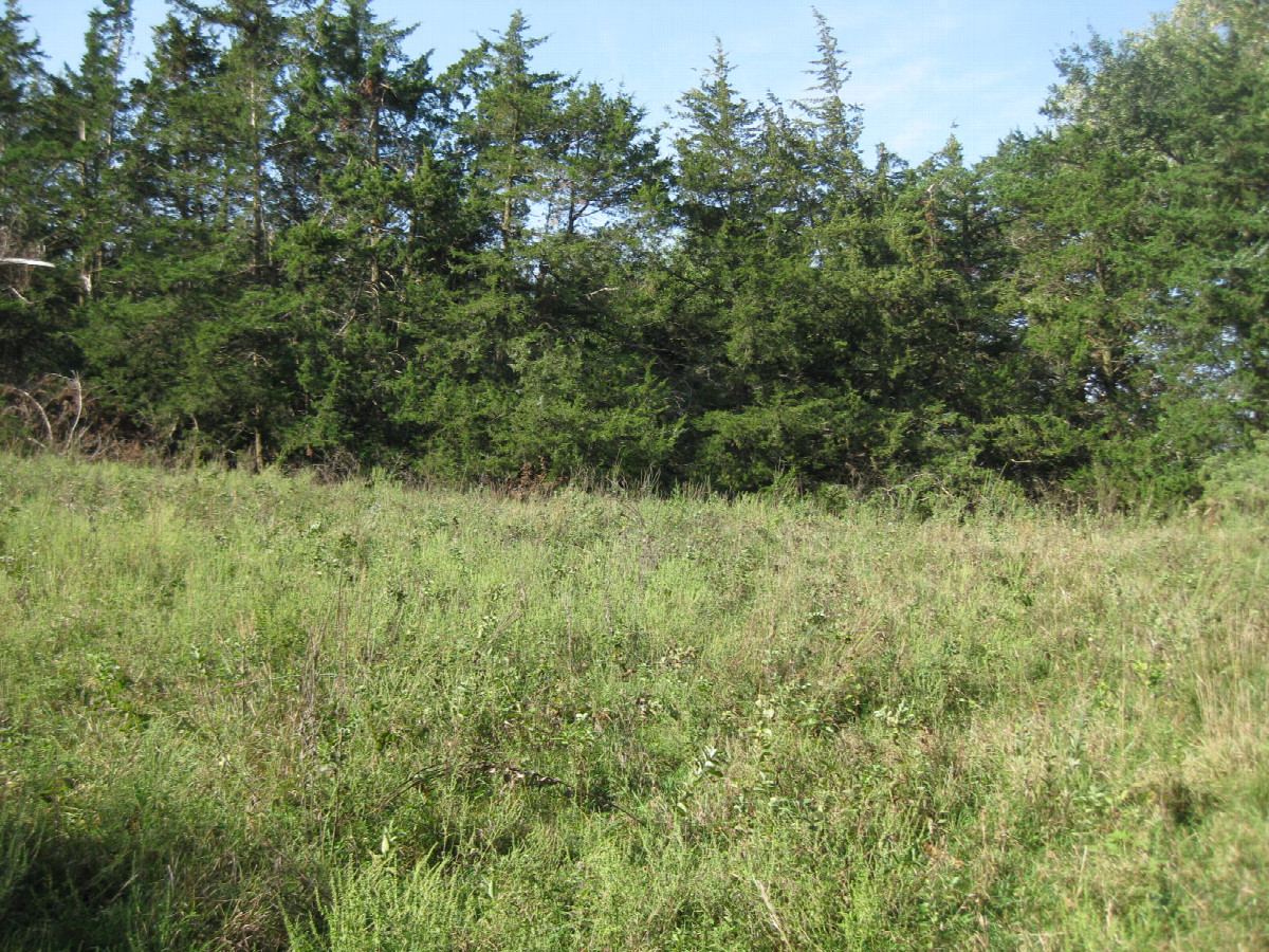 View west from the confluence