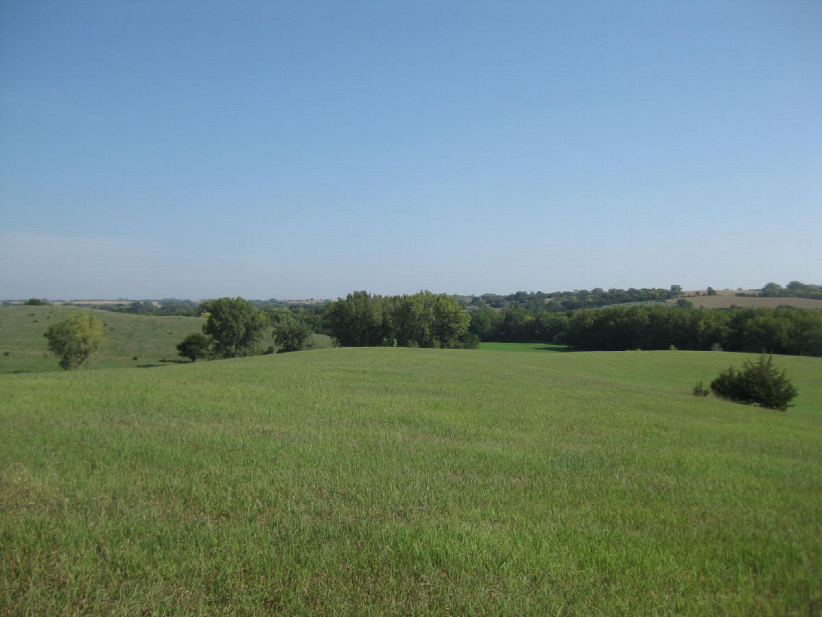 View to the NNE from atop the Microsoft background