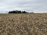 #2: A view to the north from the confluence point.