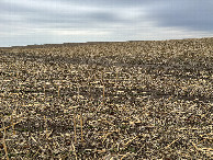 #3: A view to the east from the confluence point. 