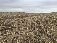 #4: A view to the south from the confluence point.