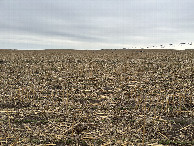 #5: A view to the west from the confluence point.