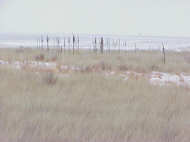 Confluence site, looking southeast, on the Great Plains of Nebraska.