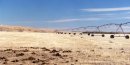 #3: Cowpies on the Hawley Flats