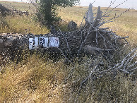 #8: A forlorn “No No No” tree trunk south of Wayne Road.