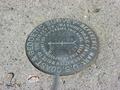 #8: US Coast and Geodetic Survey marker at surveyed confluence point.