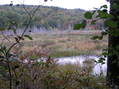 #4: Beautiful New England scene, to the west, taken 30 meters west of the confluence.