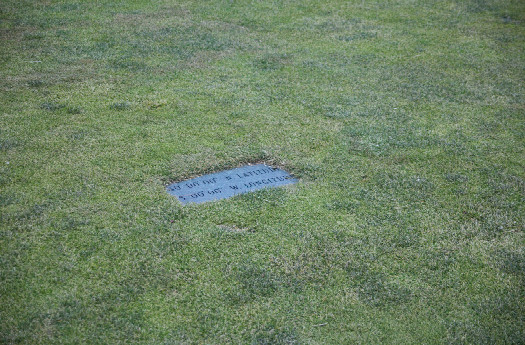 #1: The plaque marking the confluence point