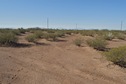 #5: View West (back towards the railroad tracks)