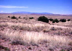 #1: Looking east at the Sandia Mountains, east of Albuquerque