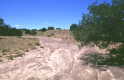 #4: A dry arroyo showing signs of recent flow near 35N-107W