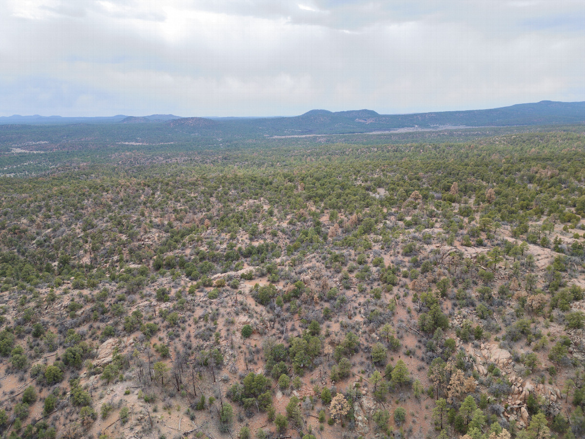 View West, from 120m above the point