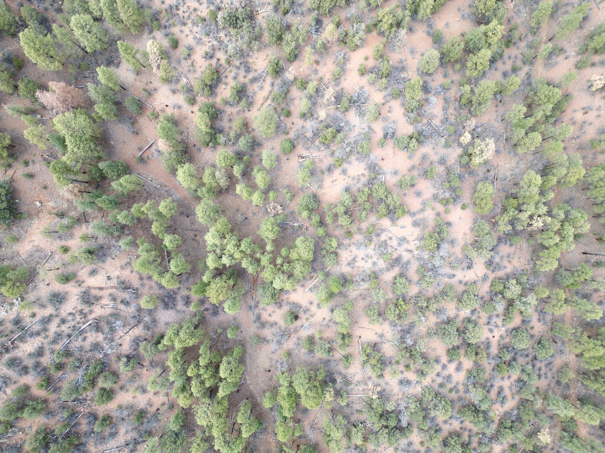 Looking down on the point from a height of 120m