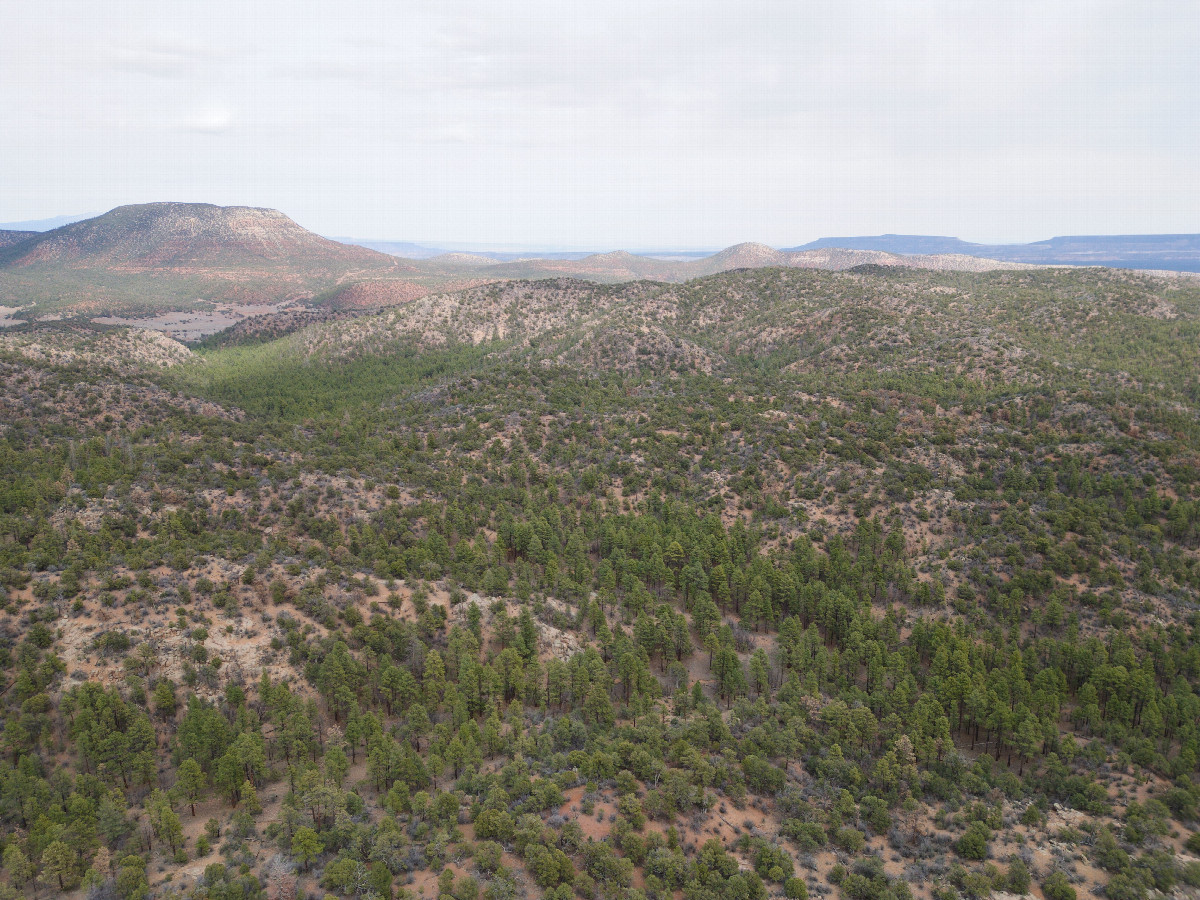 View East, from 120m above the point