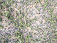 #7: Looking down on the point from a height of 120m