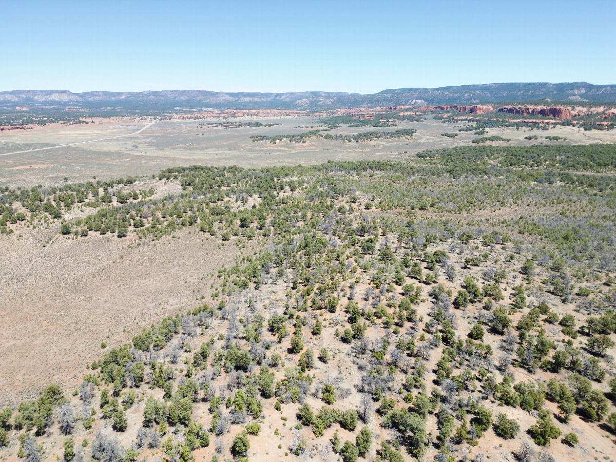 View North, from 120m above the point