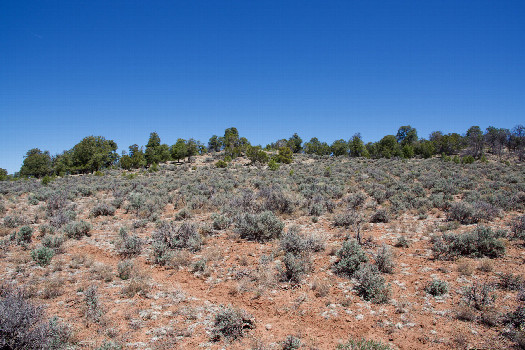 #1: The confluence point lies in a sagebrush-covered slope.  (This is also a view to the North.)