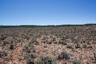 #3: View South