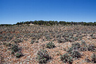 #4: View West