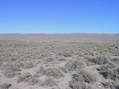 #3: View East (towards the White River Valley, and Nevada Highway 318)