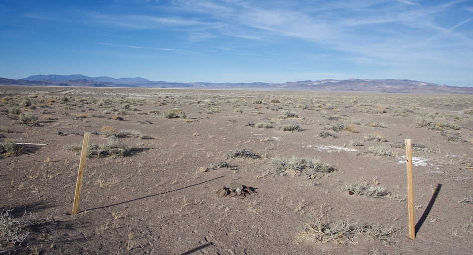 The confluence point lies in a flat region of desert, just 100' east of a paved road. (This is also a view to the North.)