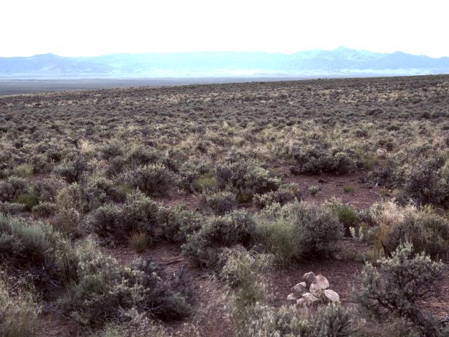 Looking west towards the Antelope Range