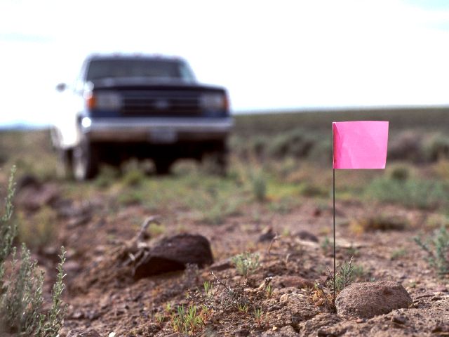Pink flag (and its instrument of doom) !