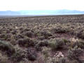 #2: Looking west towards the Antelope Range